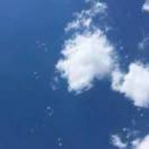 Meet your Posher, Wang